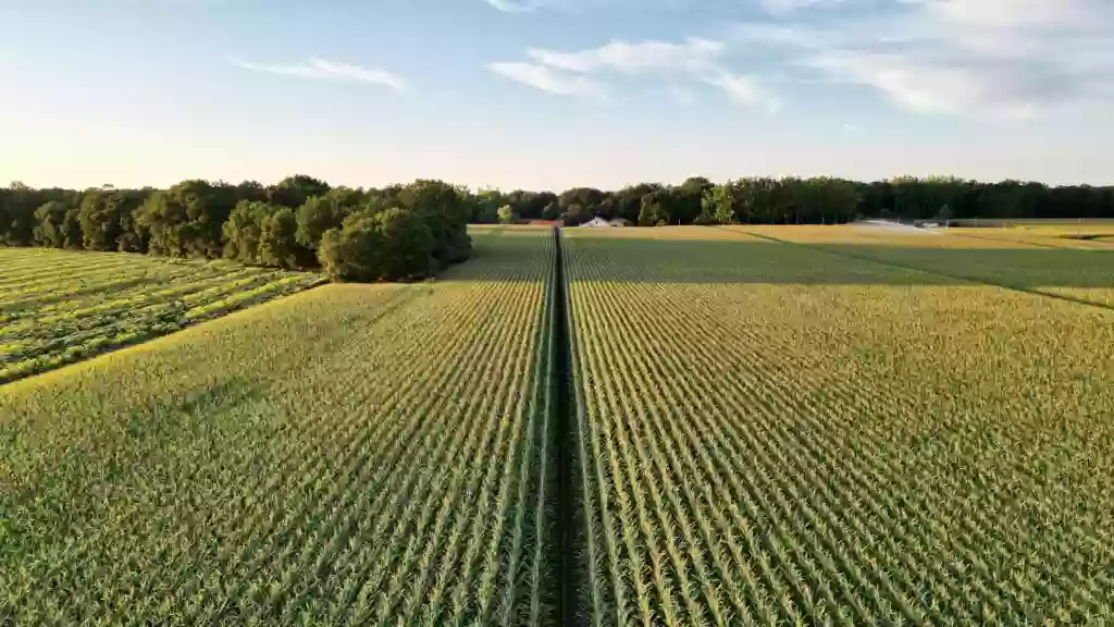 Groupe Coopératif Maïsadour