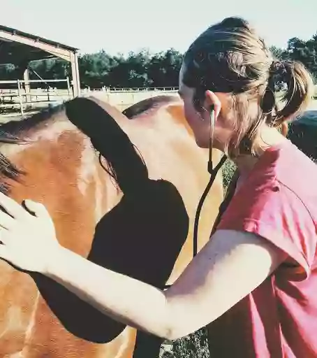 Ma'Veto - Docteure Marion Boidot - Vétérinaire Equin