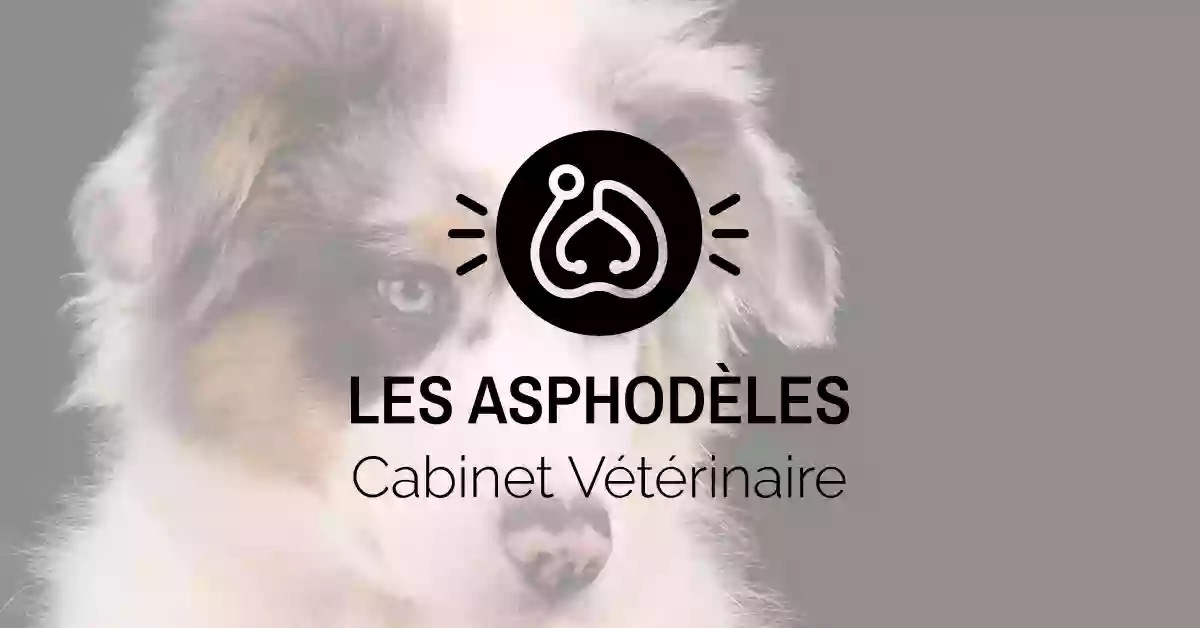 Cabinet Vétérinaire Les Asphodèles