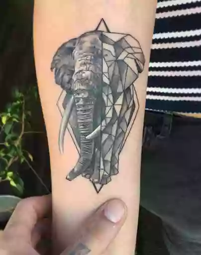 KIM ZOO TATTOO