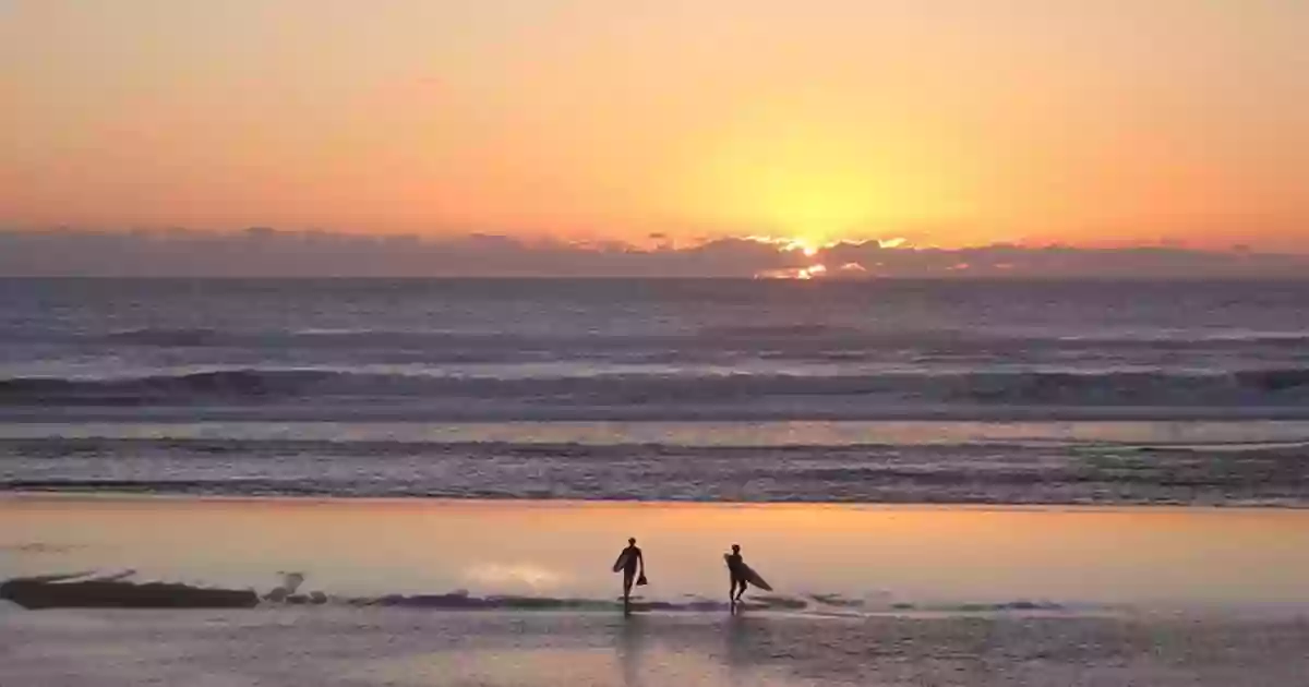 Les Pieds dans le sable - 5F - Biscarrosse plage