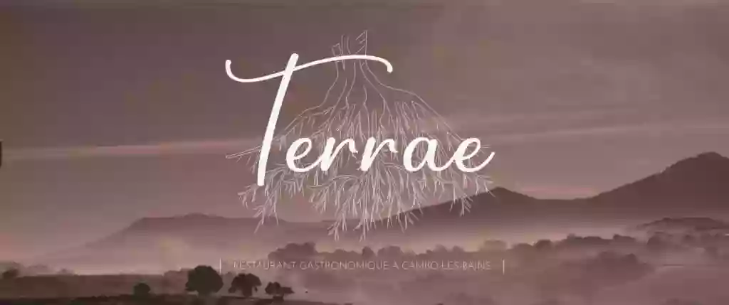 Restaurant Terrae