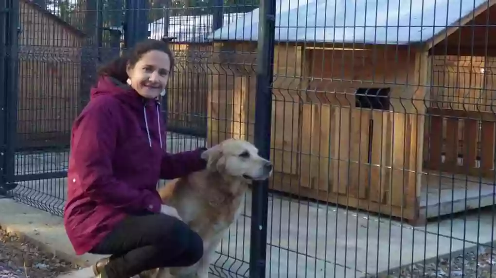 Le bois d’Avanton pension canine