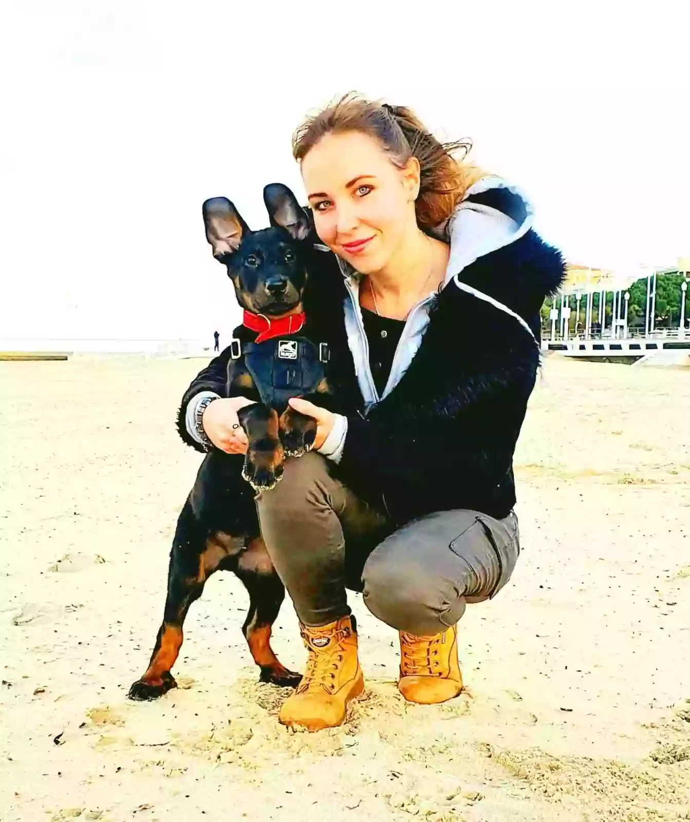 Educateur canin Arcachon Respectdogs