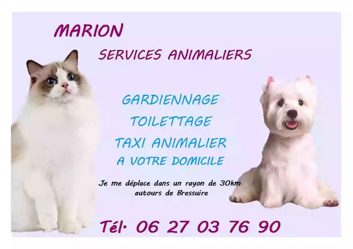 Marion toilettage a domicile