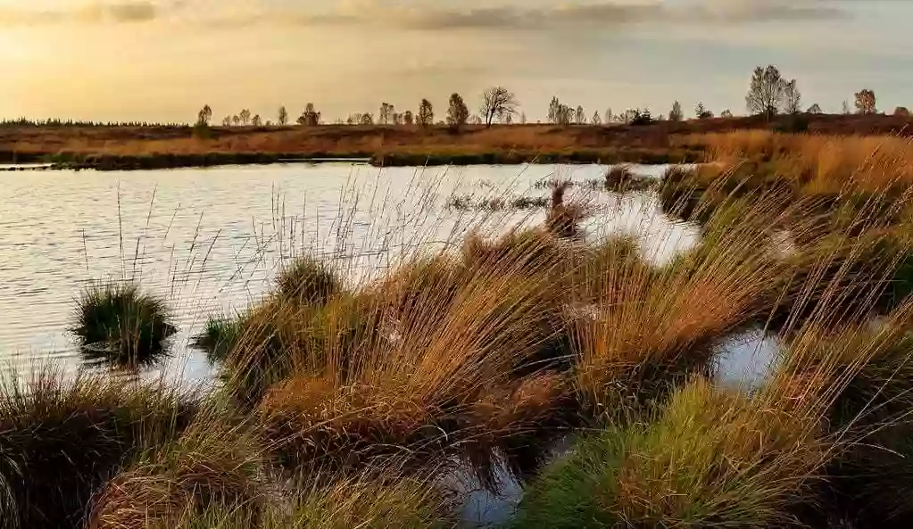 Réserve naturelle nationale des prés salés d'Arès et de Lège-Cap-Ferret