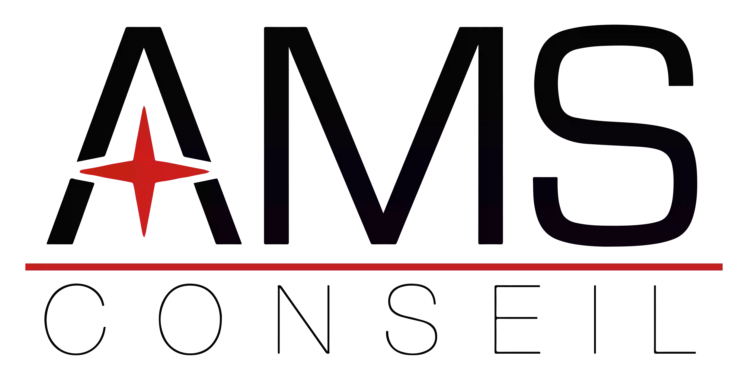 AMS Conseil (Aquitaine Marketing Services)