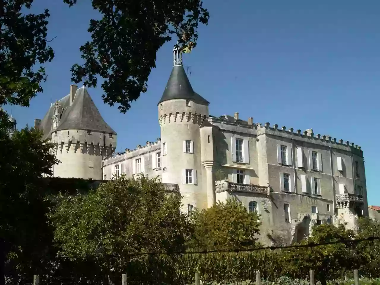 Château de Jonzac