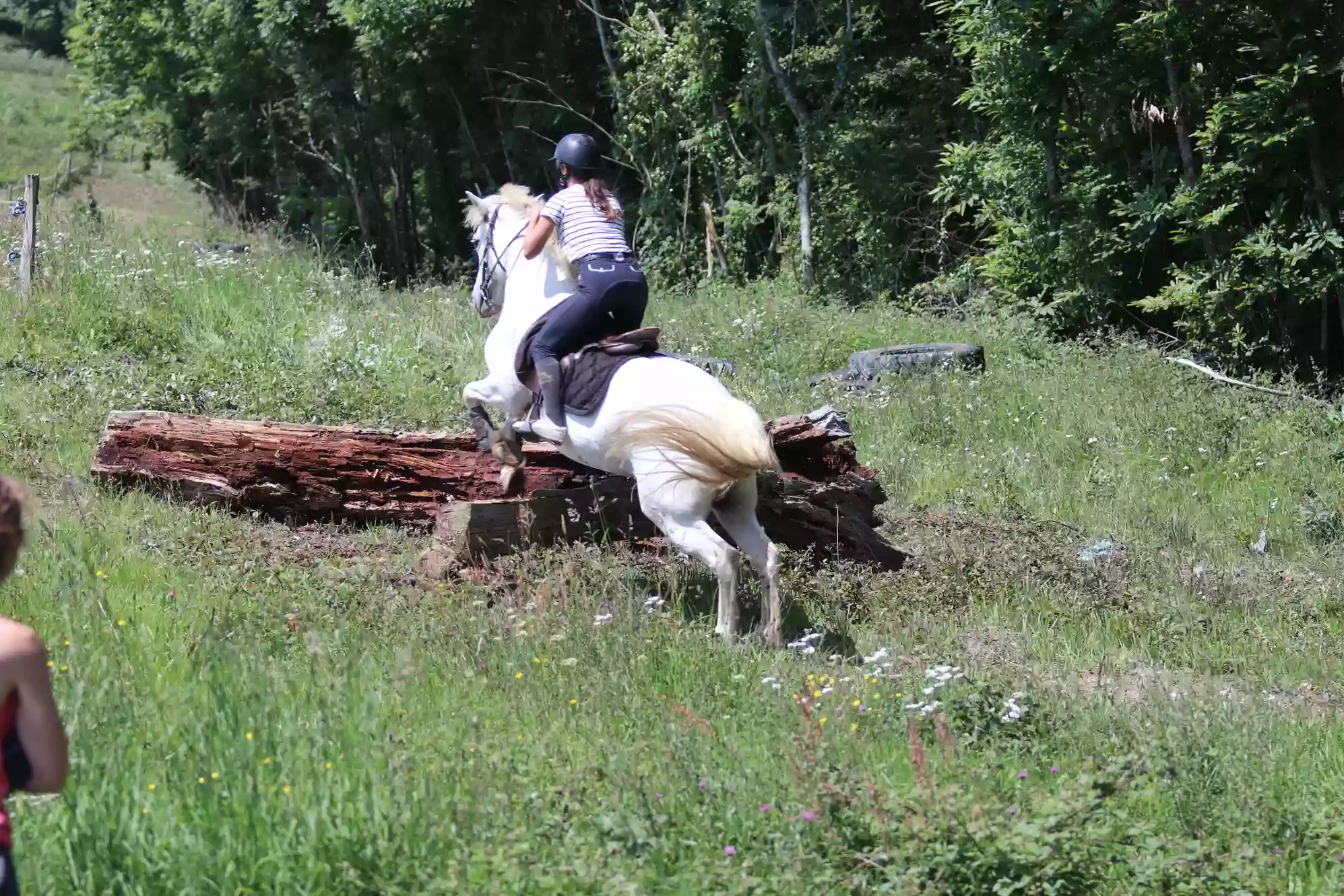 Parc d'aventures à cheval