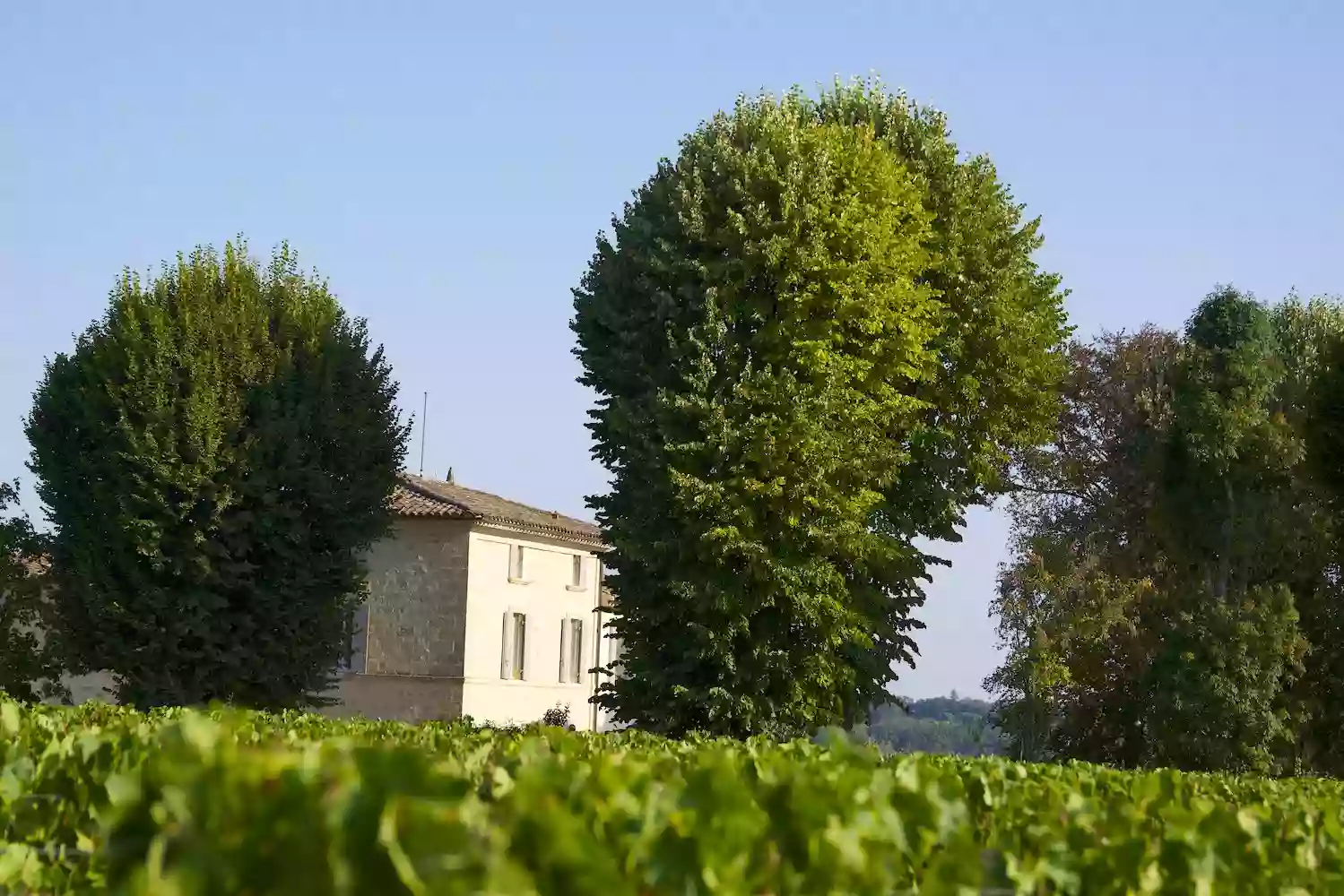 La Fontaine à Vin