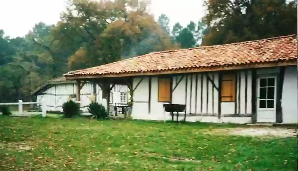 Gîte le Capdessus - Location vacances grande capacité groupe calme chasse - Parc régional des LANDES