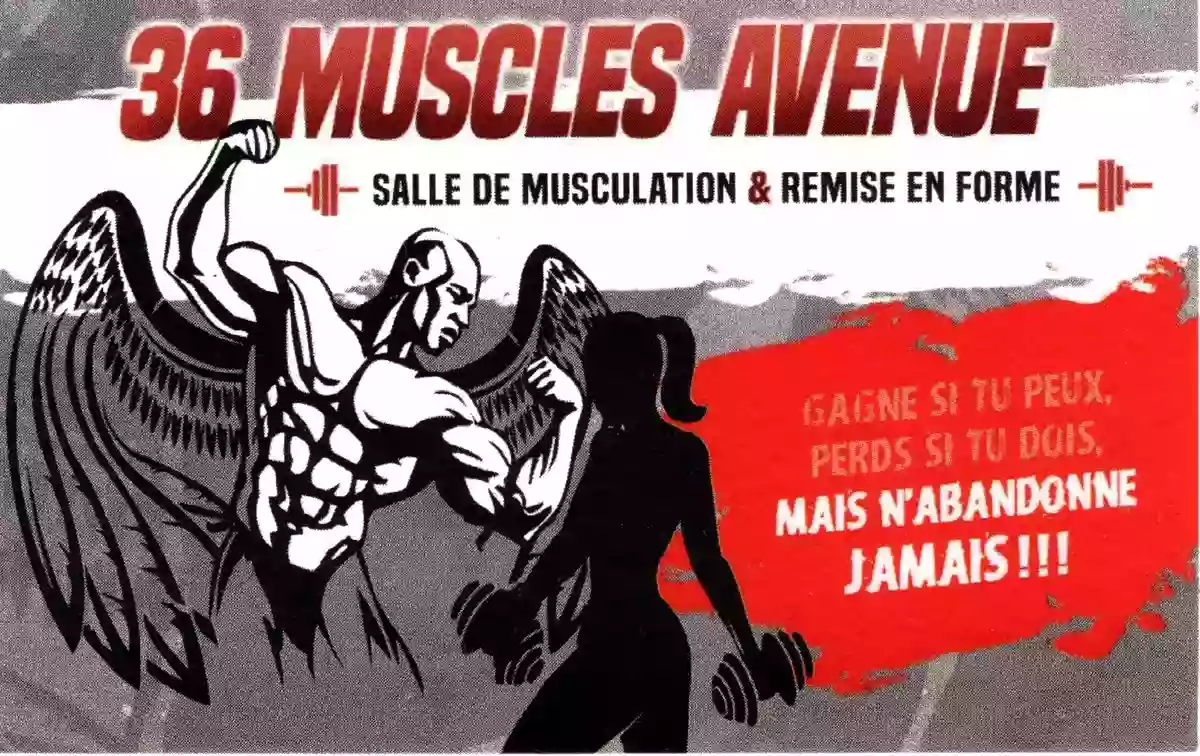 36 Muscles Avenue