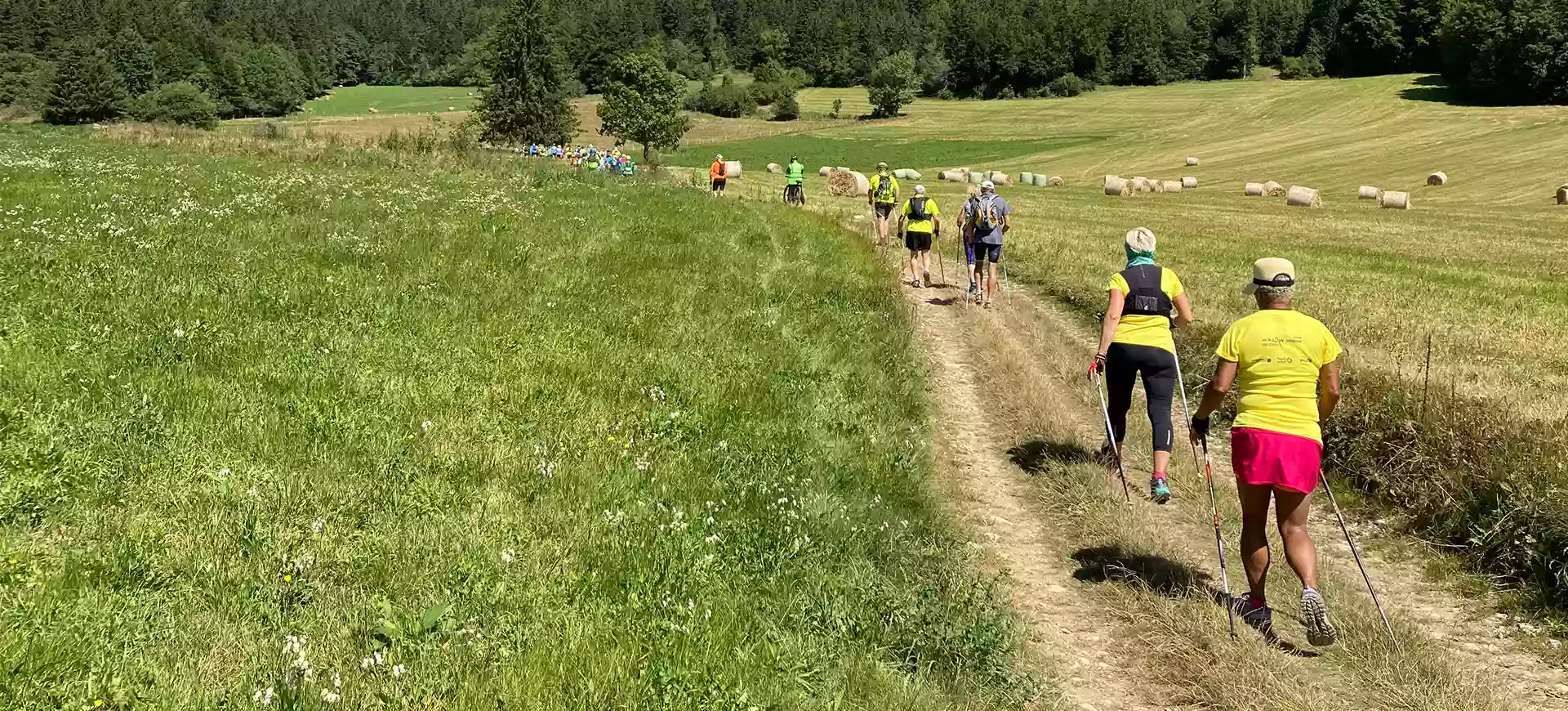 Sport Landes Santé