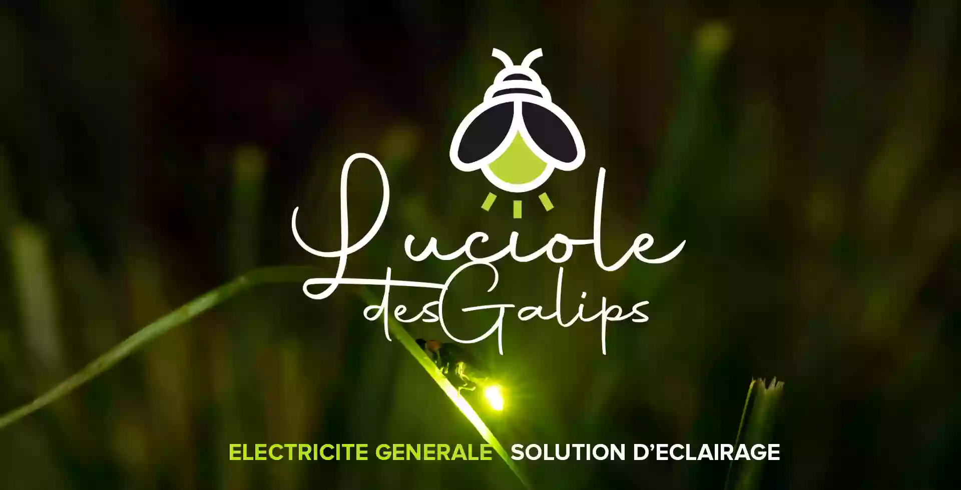 Luciole des Galips