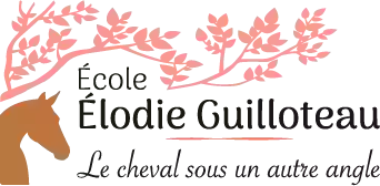 École Élodie Guilloteau