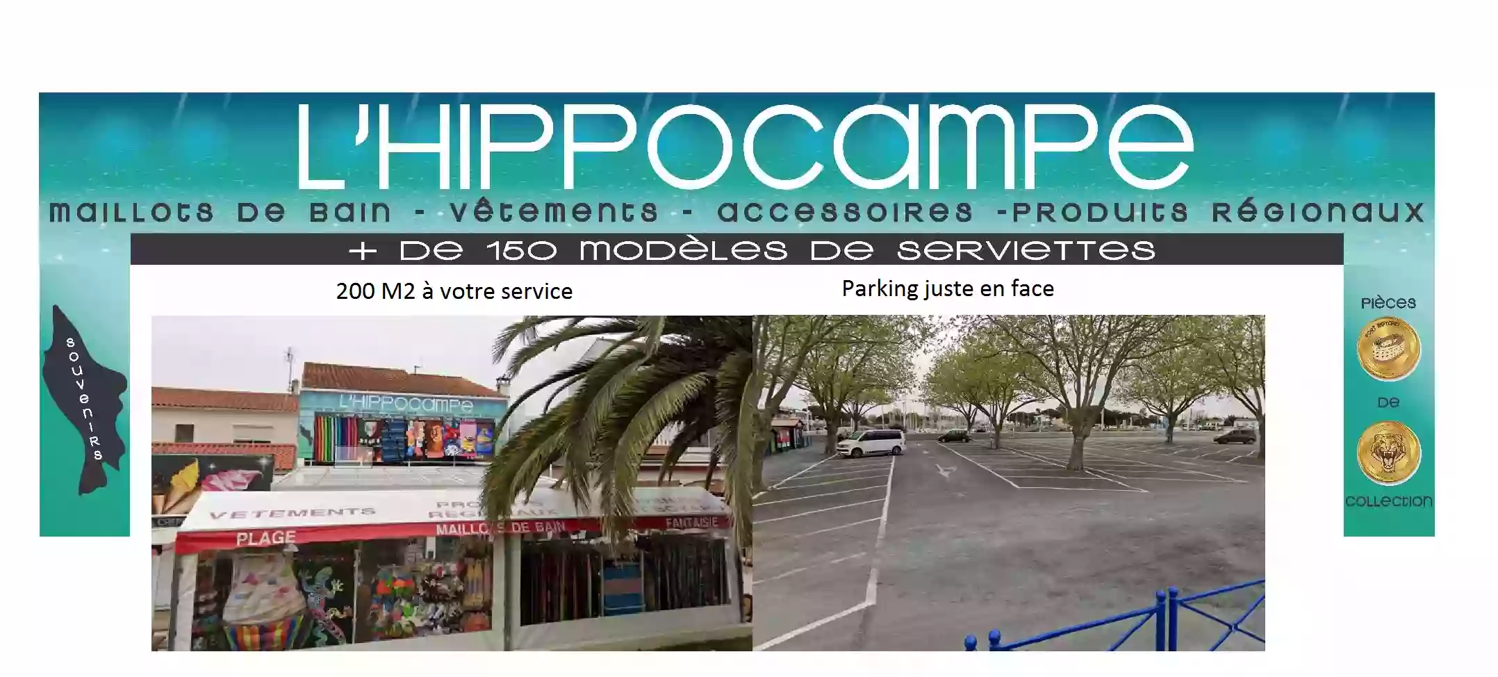 L'hippocampe