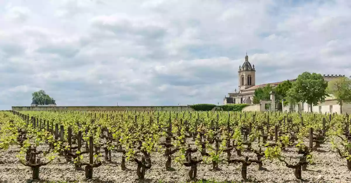 Maison et Services Médoc | Ménage, repassage, jardinage, nettoyage des vitres