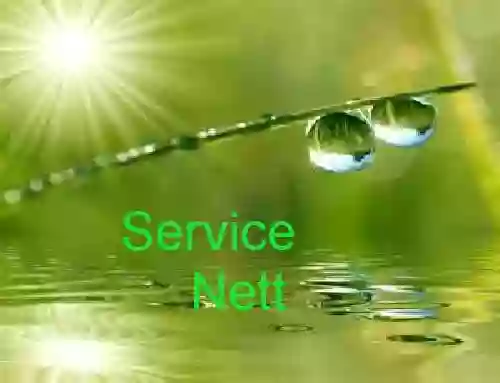 service nett