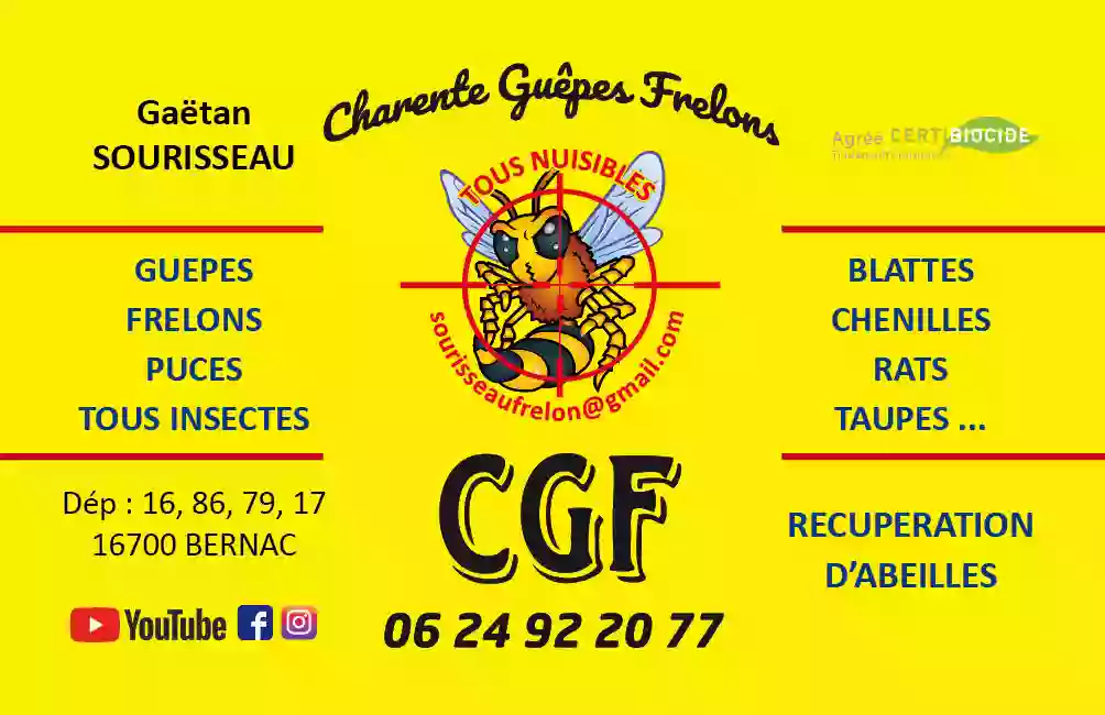 Charente Guêpes Frelons tous nuisibles