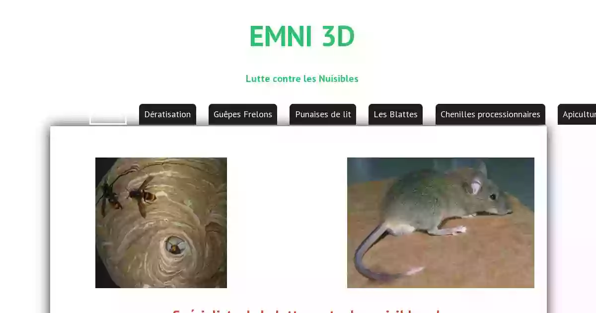 Emni3D Guêpes Frelons