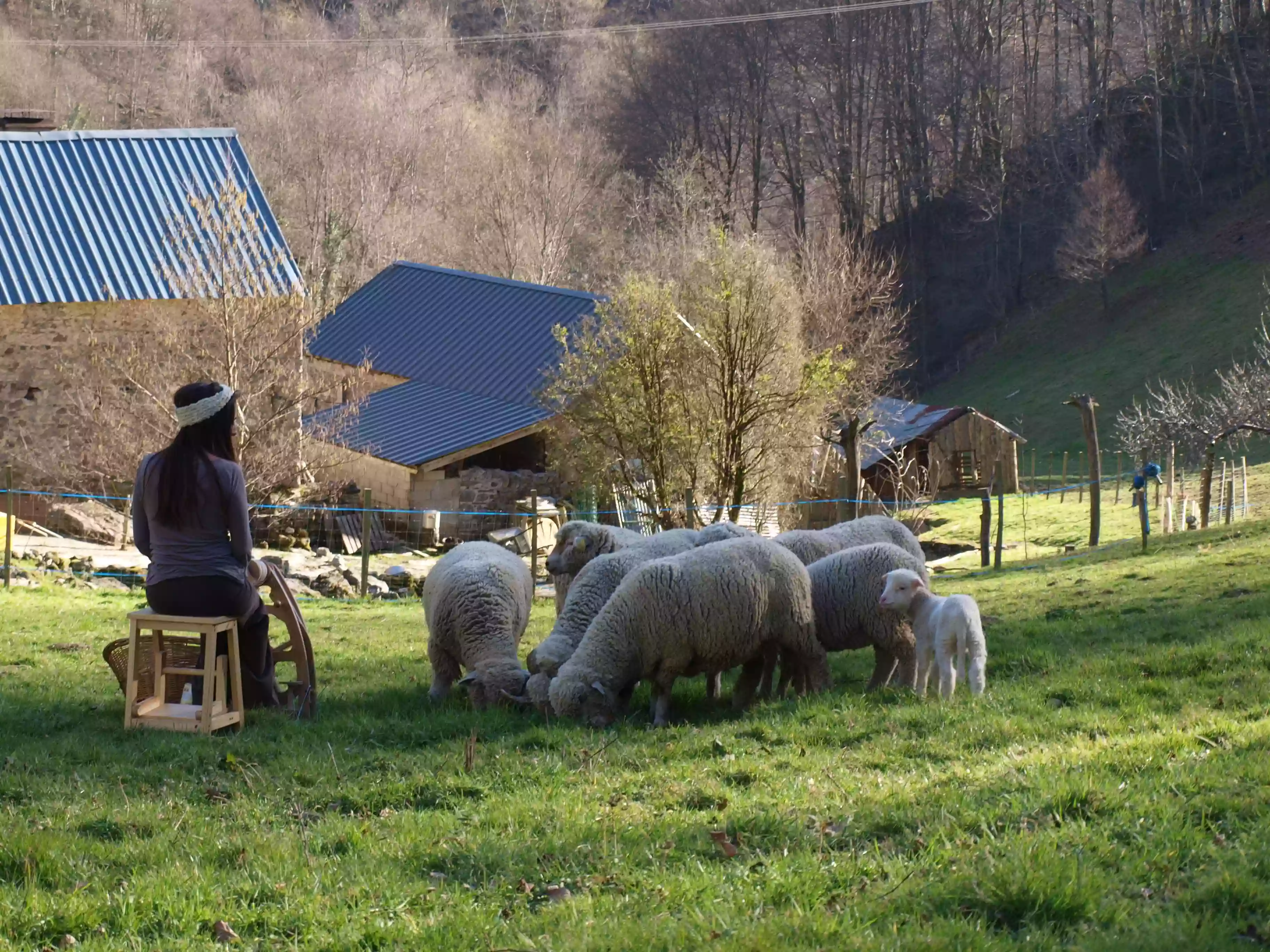 Fils de toisons