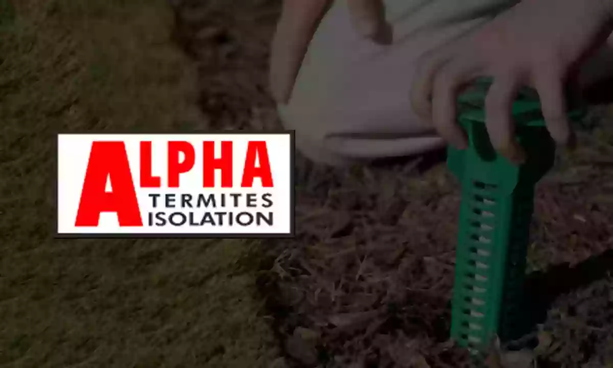 Alpha Termites