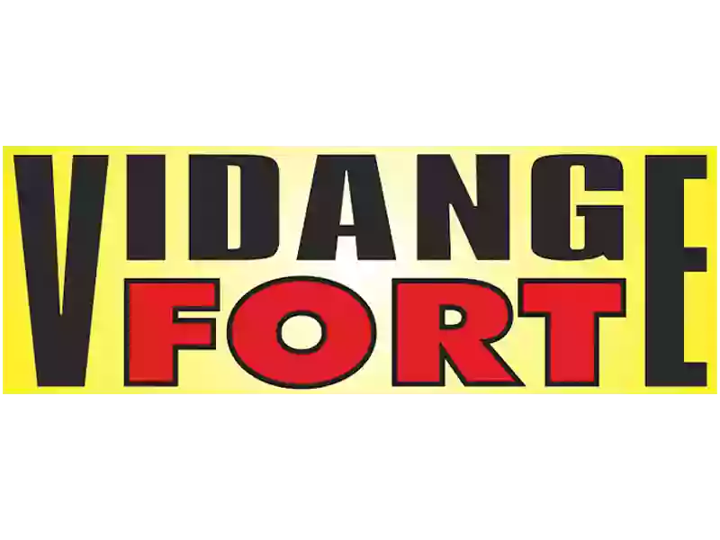 Vidange Fort