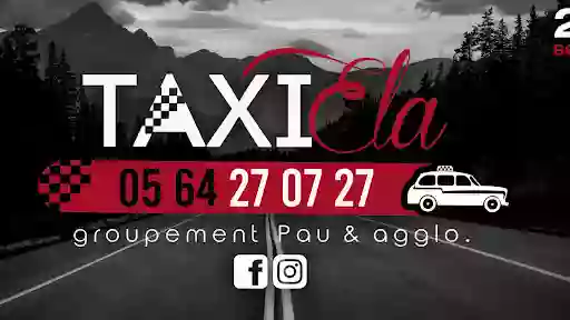 TAXIELA PAU (groupement Taxi Pau et agglo)