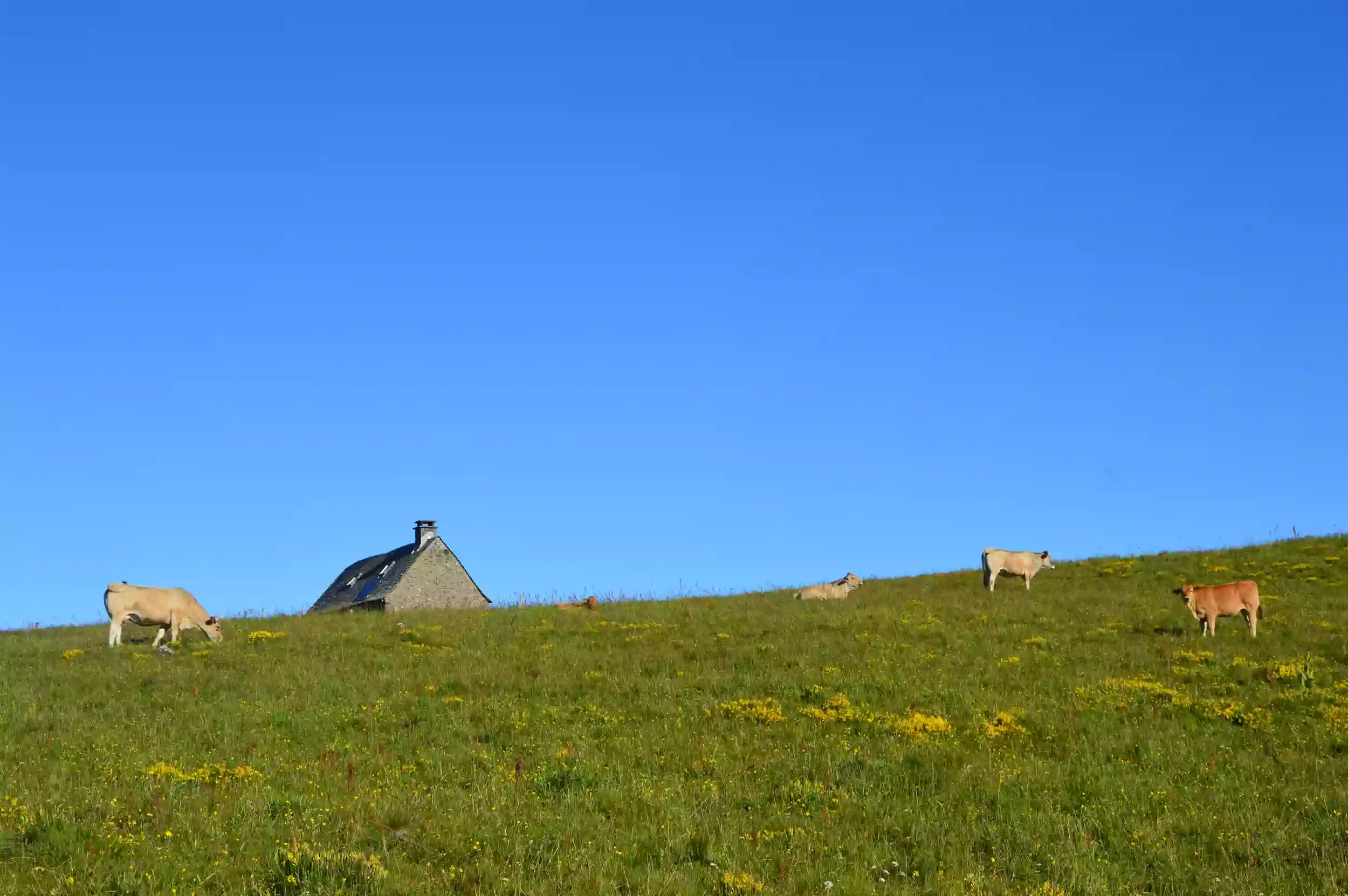 Grand buron des Enguilhens