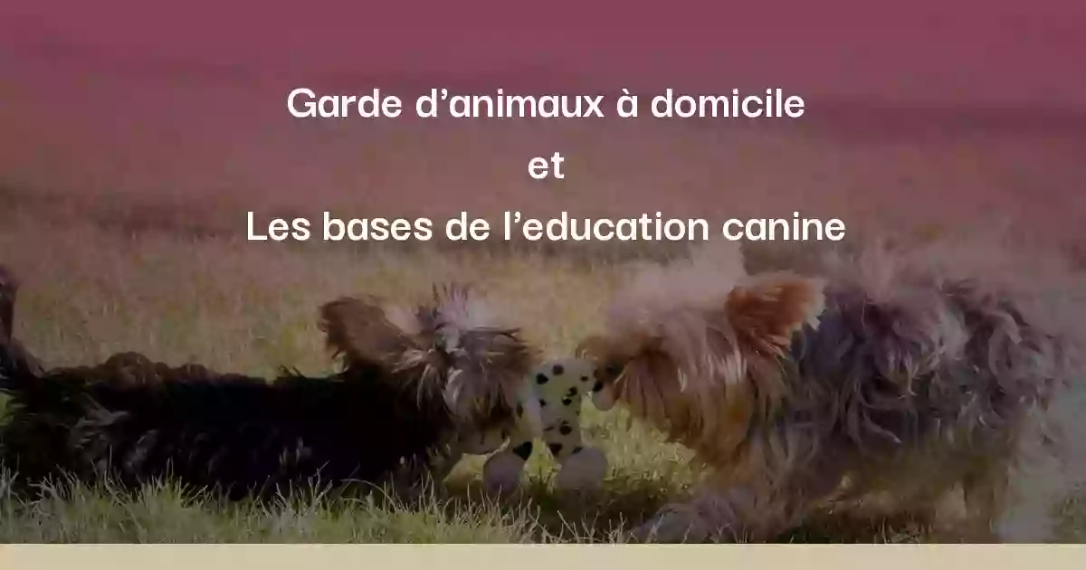 Garde d'animaux à domicile ( Pet sitter ) / Dressage canin