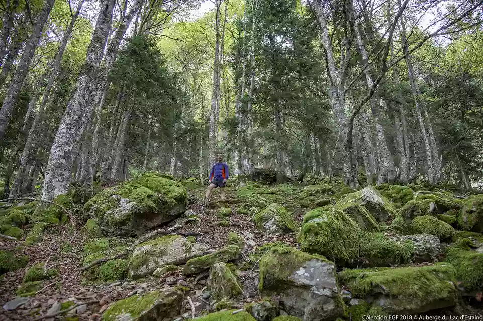 Gîte d’Etape Les Viellettes