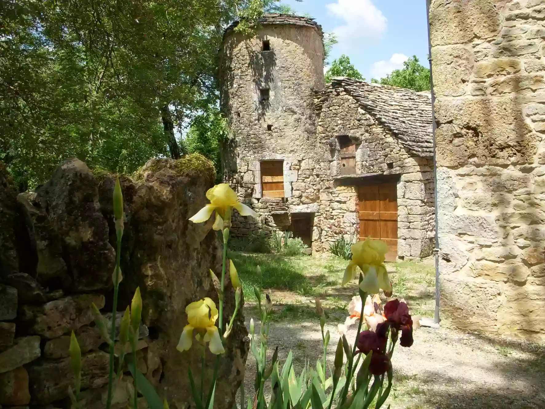 Gîte Du Domaine Des Calmels