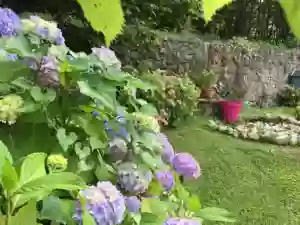 Domaine Fournié - Gites et chambres d'hôtes de charme avec piscine intérieure chauffée et spa privatif en Ariège Pyrénées