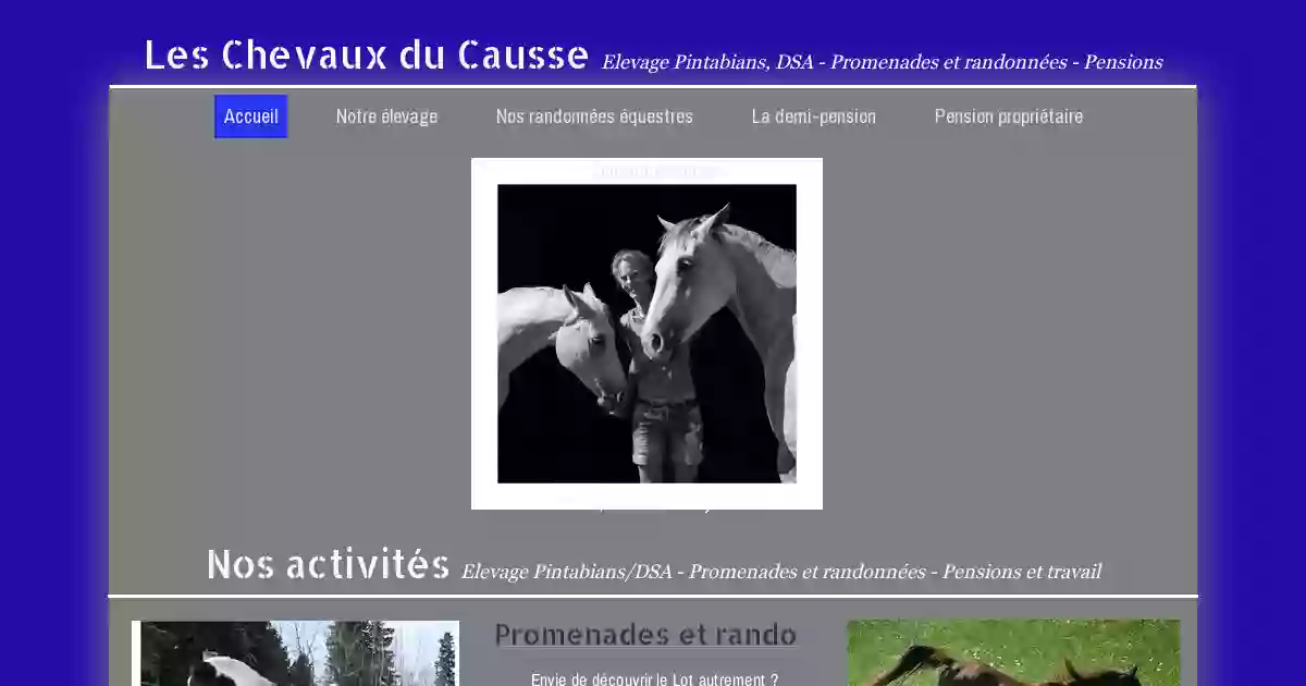 Chevaux du Causse - Randonnées équestres, Elevage Pintabian