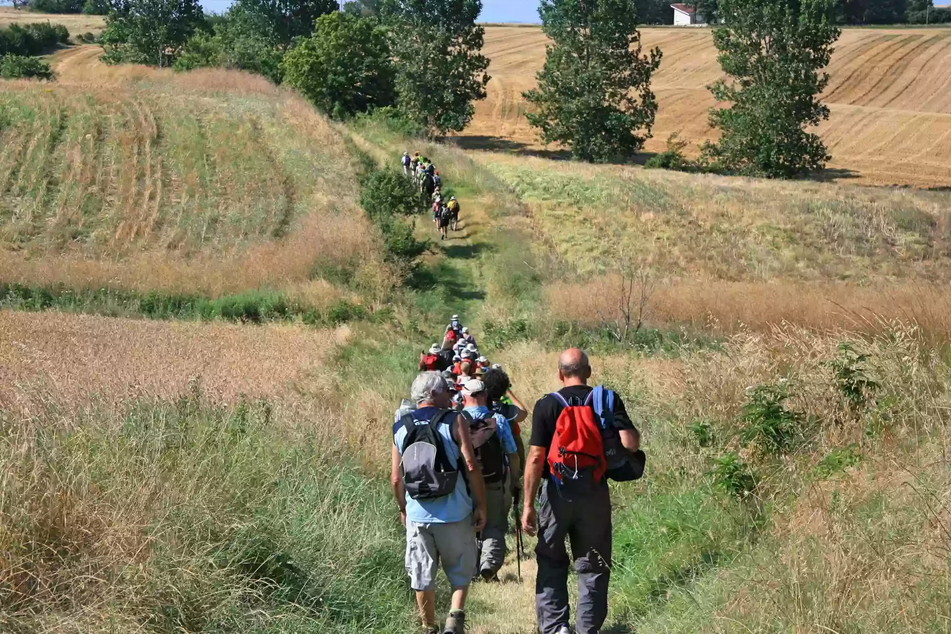 Lauragais Tourisme