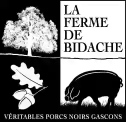 La ferme de Bidache véritables porcs noirs gascons