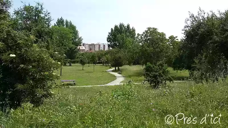 Parc Fontaine Lestang - "La Biscotte"