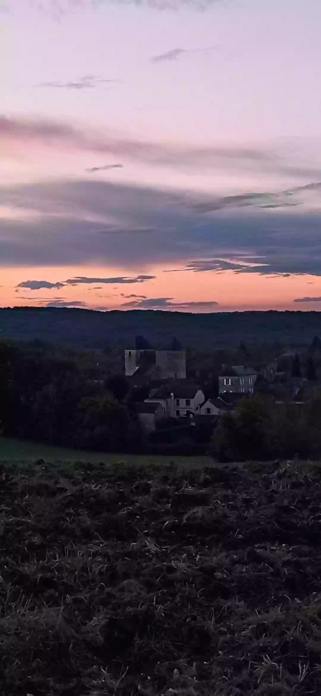 Gîte l'Orchidée Sauvage