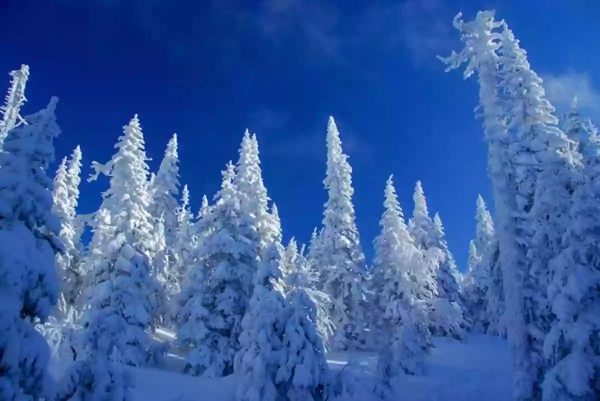 Chalet Les Lupins Bleus