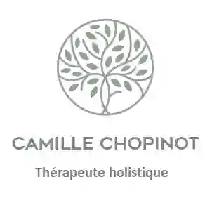 Camille Chopinot thérapeute spécialisé dans la gestion des émotions