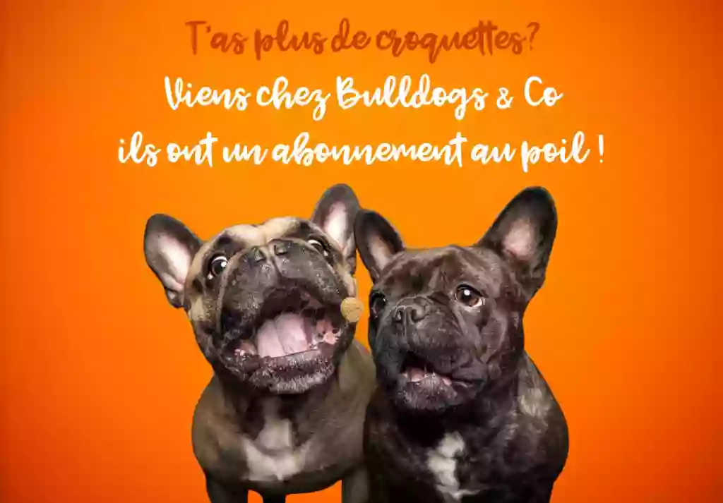 Bulldogs&Compagnie