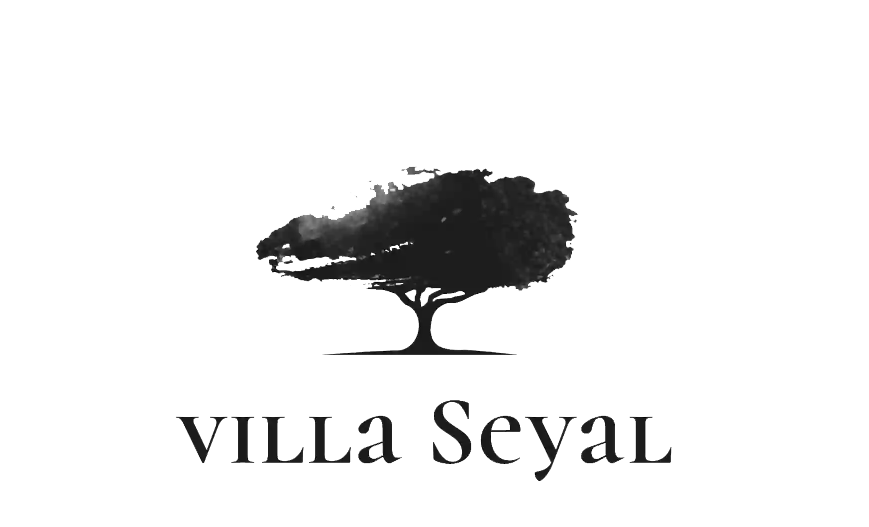 Villa Seyal - Chambre D'hôtes Avec PISCINE & SPA - LE MANS