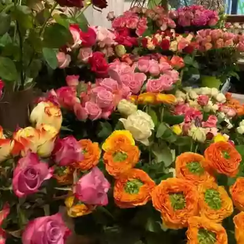 L'Amaryllis, Artisan Fleuriste