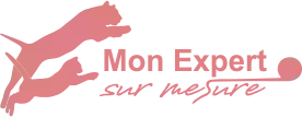 Mon Expert Sur Mesure - Trouvez le Meilleur Expert Comptable Indépendant