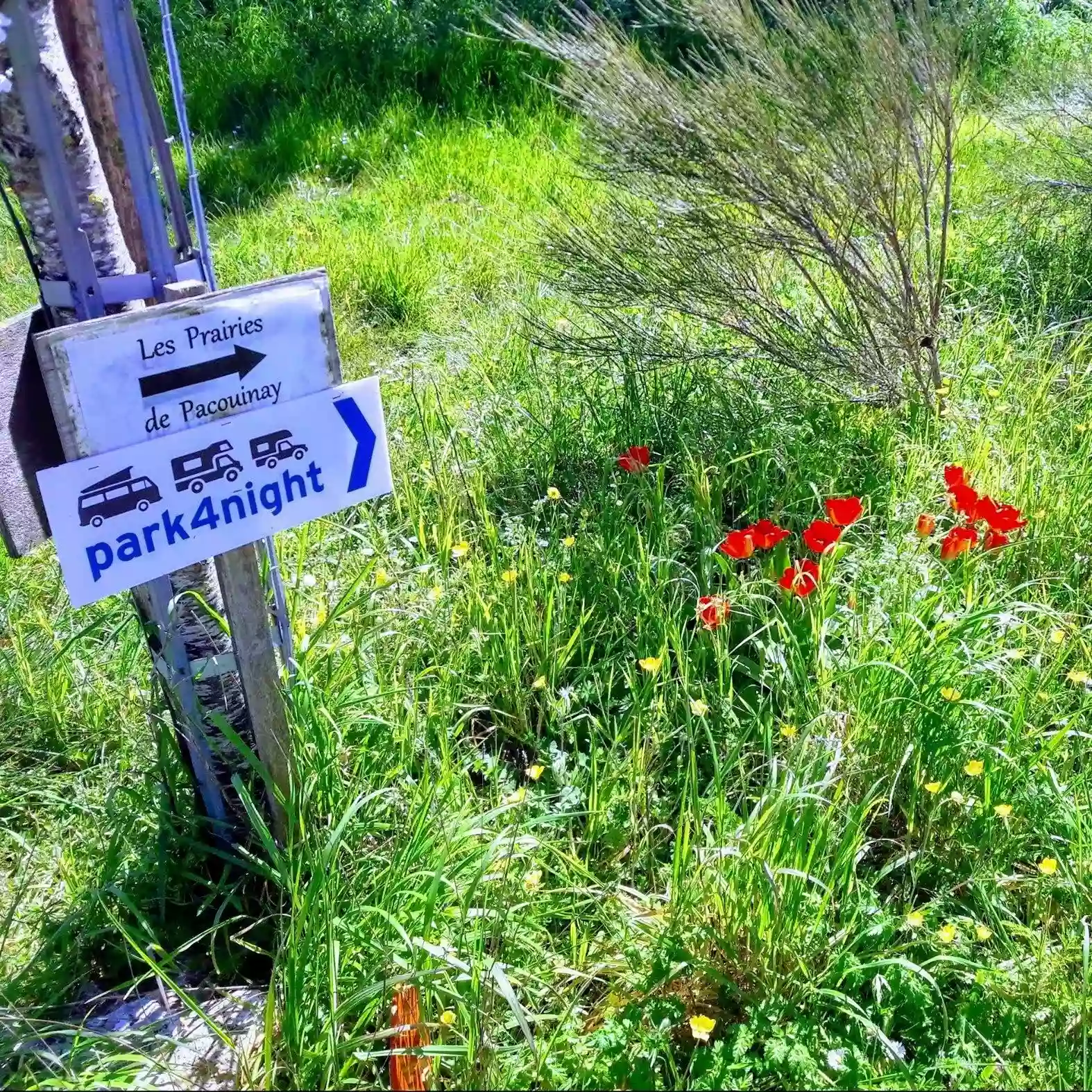 Les Prairies de Pacouinay