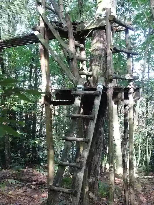 Les Ecolodges de l'Orbière : Hébergements Insolites, cabanes dans les arbres, cabane sur l'eau