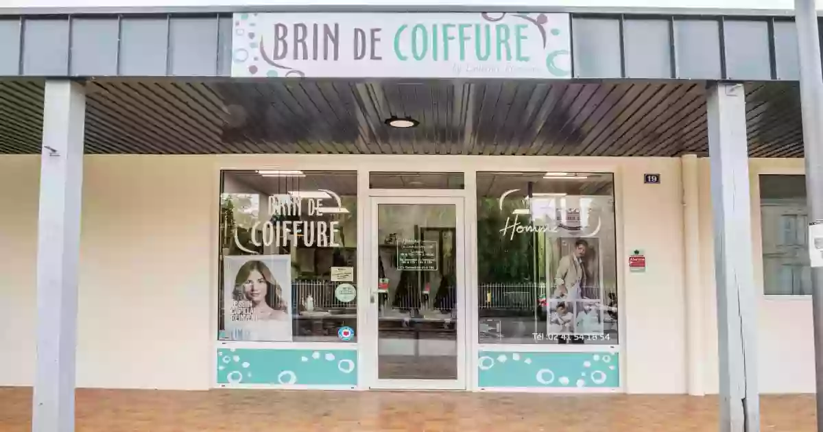 Brin de Coiffure