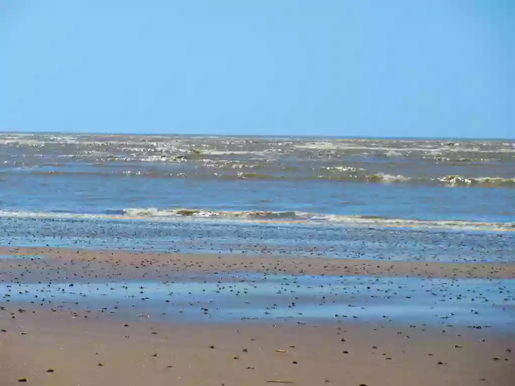 Françoise Airiau - Mer et Liberté