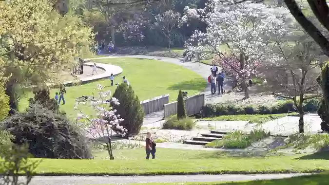 Parc de la Roche