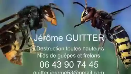 GUITTER Jérôme - Destruction nids de guêpes et frelons - Département de la Mayenne 53